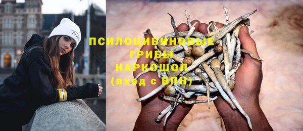 ГАЛЛЮЦИНОГЕННЫЕ ГРИБЫ Кинешма