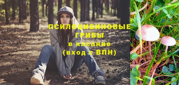 ГАЛЛЮЦИНОГЕННЫЕ ГРИБЫ Кинешма